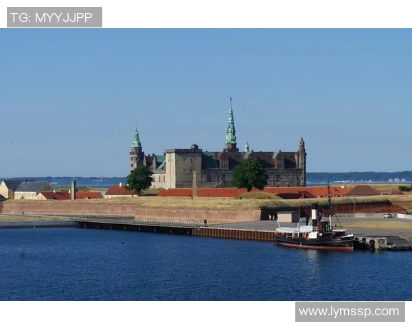 丹麦与瑞典友谊赛因不可抗力因素宣布取消引发广泛关注